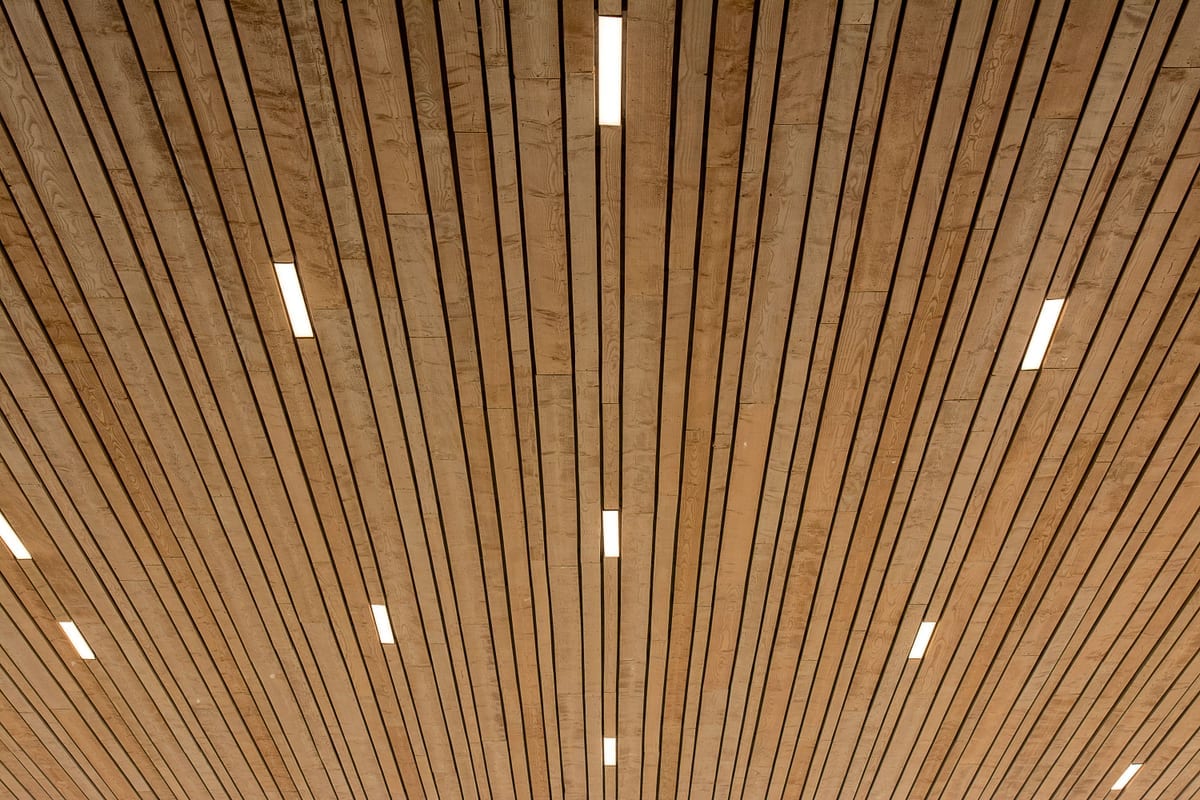Vom Trockenbauer abgehängte Akustikdecke aus schmalen Holzlamellen mit eingelassenen Lichtschlitzen